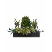 Read Evergreen Direct Reviews